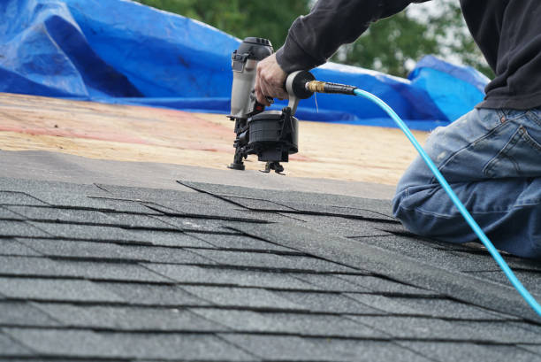 Best Roof Moss and Algae Removal  in Grant, NE